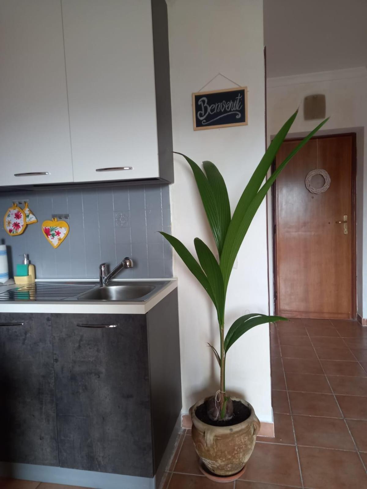 Antica Fonte Apartment Montefranco Bagian luar foto